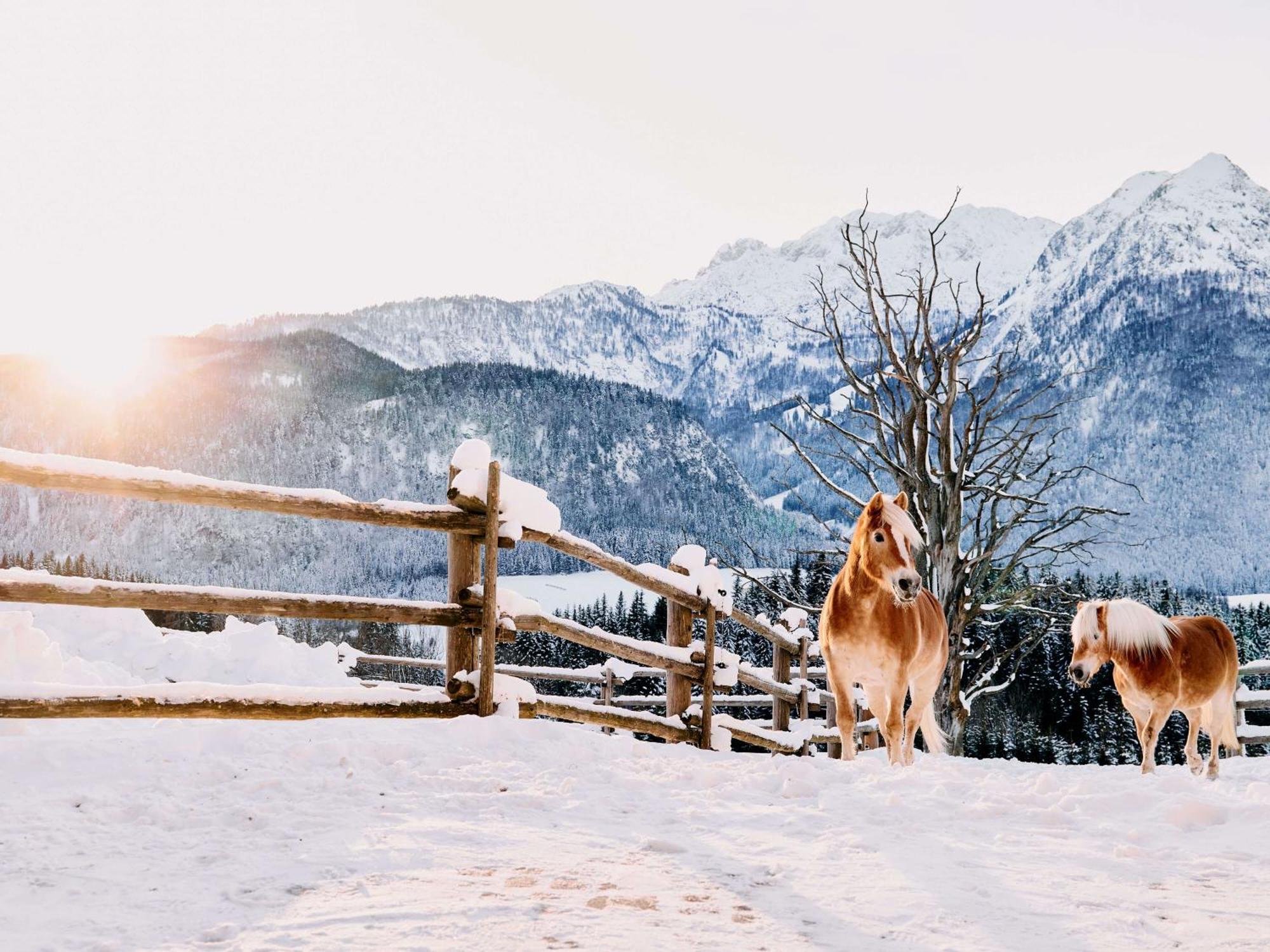 ホテル Winterstellgut アンベルク・イム・ランマータール エクステリア 写真